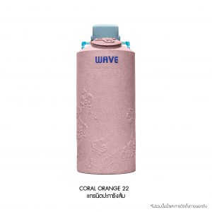 ถังเก็บน้ำคู่ปั๊ม