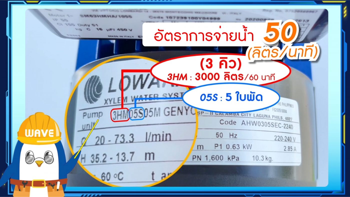 Lowara waterpump water pump ปั๊มน้ำ เลือกปั๊มน้ำอย่างไร